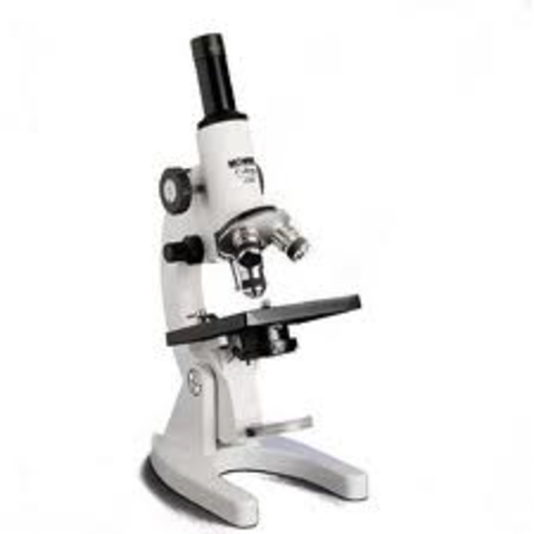 first microscopes