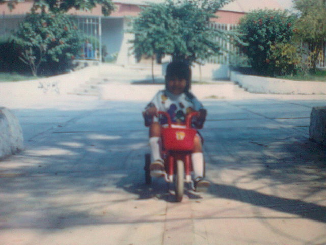 Un paseo por el jardin