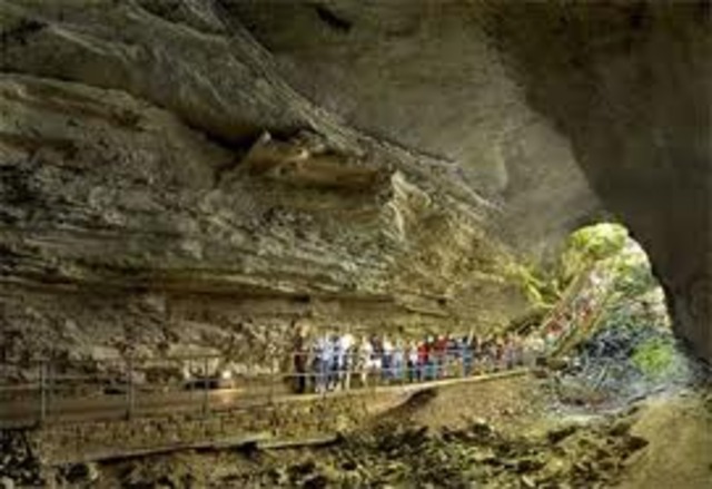 Mammoth Cave National Park