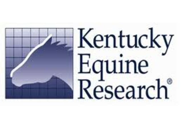 When to the KY eauine research