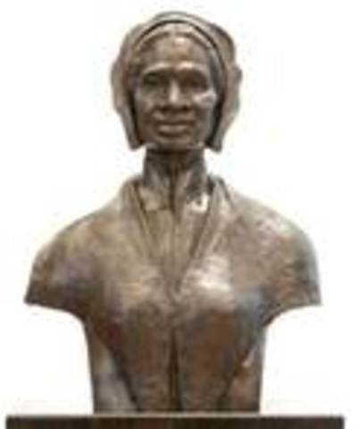 Mr.Vanwagener took her in