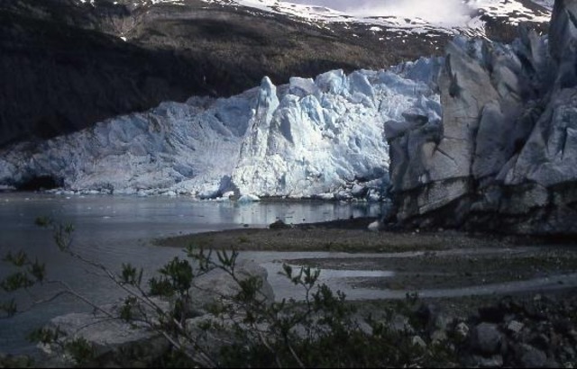 Glacier Bay National Park