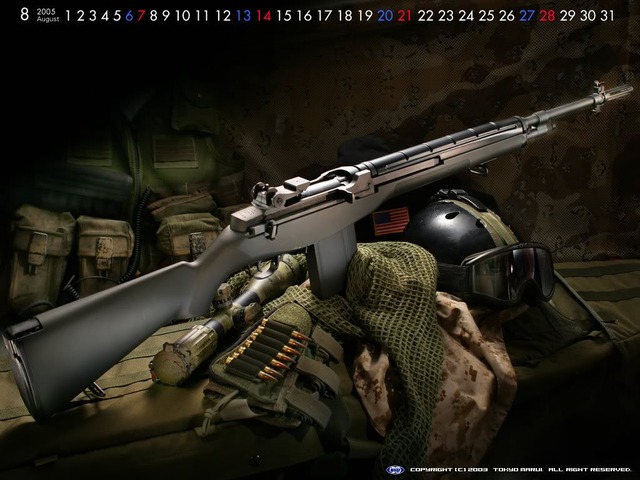 M14 Rifle