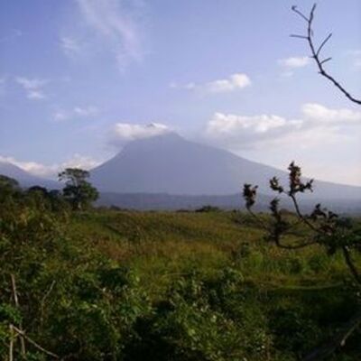 Timeline: The Rainforest Civilizations