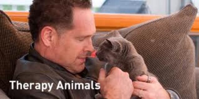 Therapy Assisted Animals- Delta Society