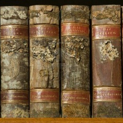 Timeline: LIterary Periods Throughout the AGES!