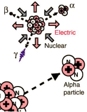 By 1869, He Found 63 Elements