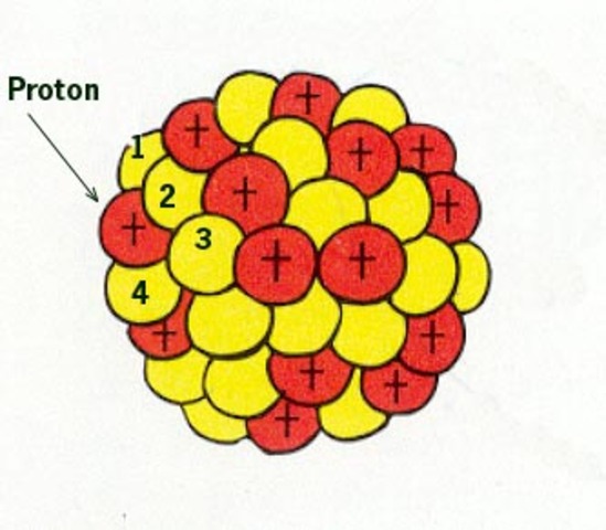 IDENTIFIED PROTONS IN THE ATOMIC NUCLEUS