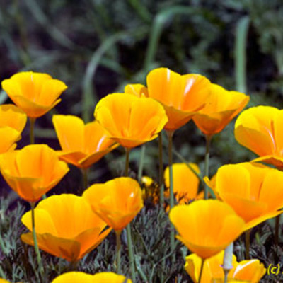 Timeline: 15 Major Events in My Life