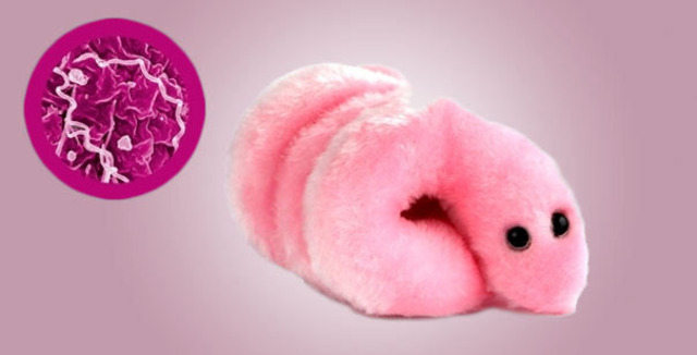 Treatment of syphilis