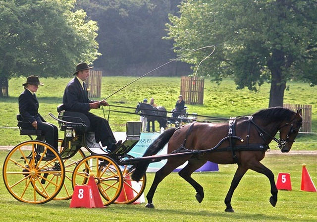 We win BHDS National Championship at Windsor