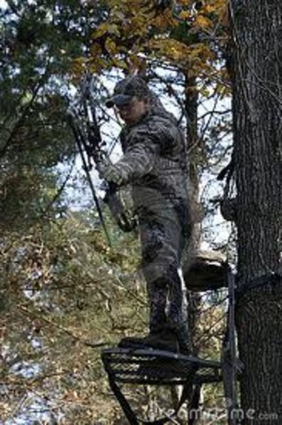 bow hunting is legalized