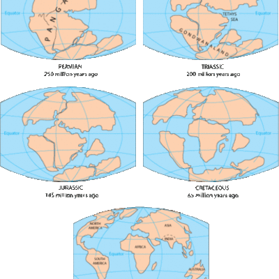 Timeline: History Of Plate Techtonics