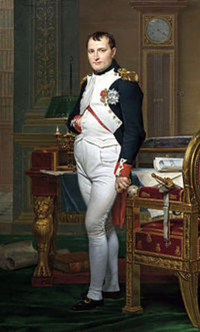 Napoleon Becomes Dictator of France