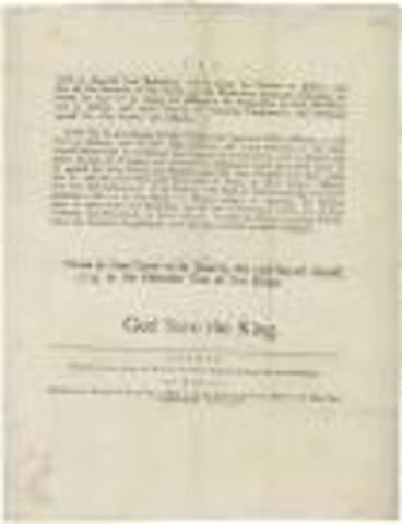 Olive Branch Patition