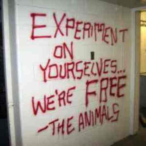 Dispatches: Inside The English Animal Liberation Front