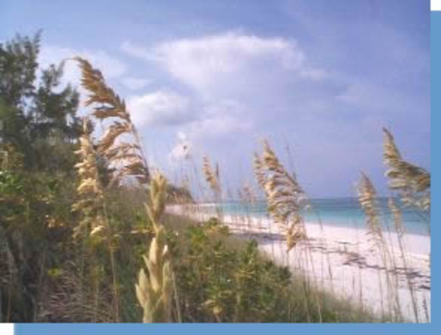 Went to Flordia 2009