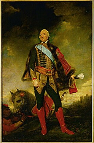 Committee of public safety established