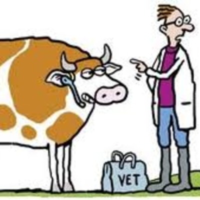 Timeline: History of Disease