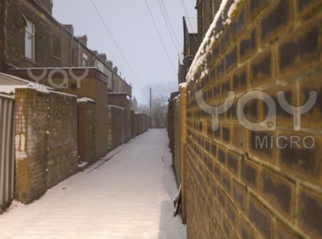 Misha gets in a fight