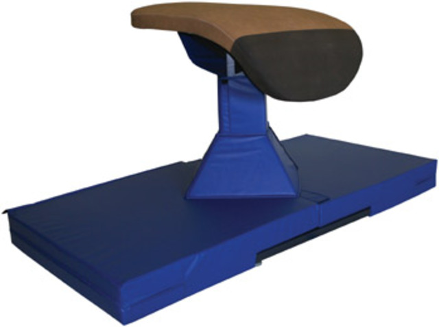 I started doing gymnastics again