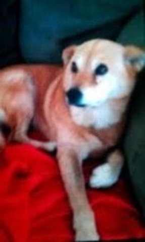 My First Pet!!!!!!!!!!!!!!!