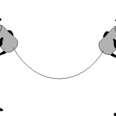 Timeline: Roxana Vega Section 3 Week03 Timeline