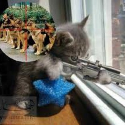 Timeline: Humainities 7