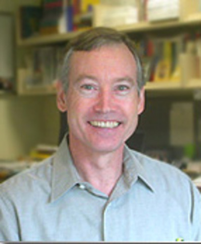 Charles M. Reigeluth: Principles of learning and teaching concept