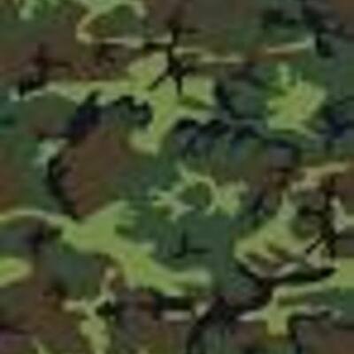 Timeline: Hunting and Fishing.