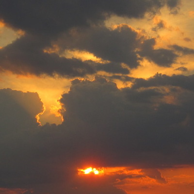 Timeline: William Heinz Timeline