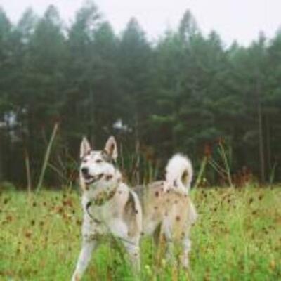 Timeline: The Life of Jacob Manthey