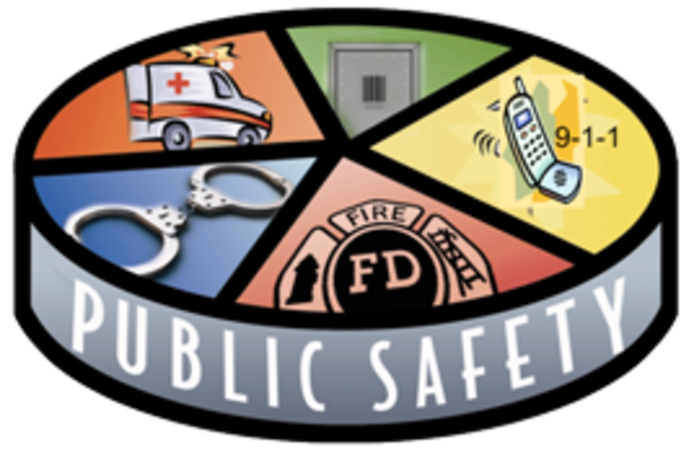 Committee of Public Safety Established