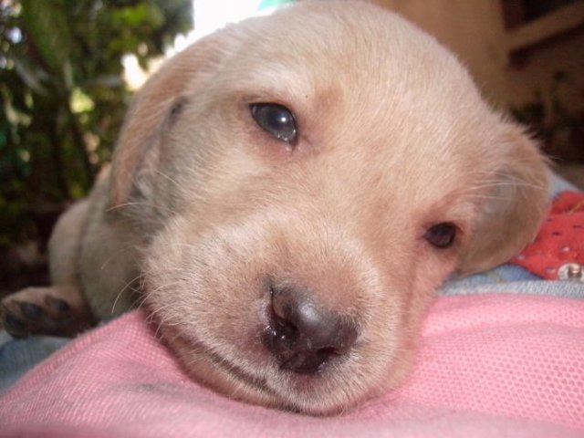 THE WORST MOMENT IN MY LIFE