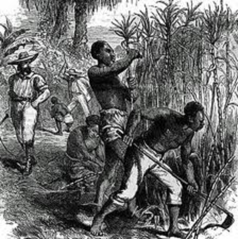 First Enslaved Africans arrive in the Americas