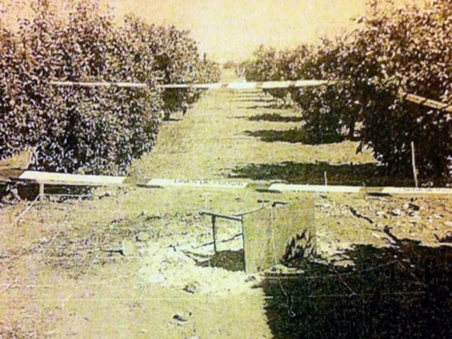 UDEV confirms they have found rests of the children