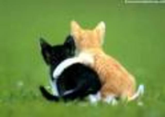 my bestfriend to this vary day