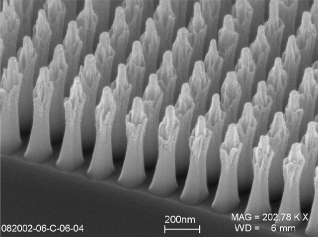 First Electron Micrograph