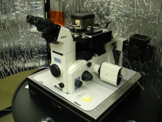 The Scanning Probe Microscope which is used by measurng current becomes available for purchase.