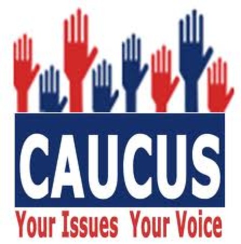 Caucus and Primaries