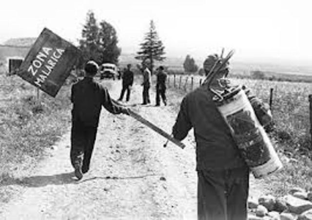 Decided to Move to America