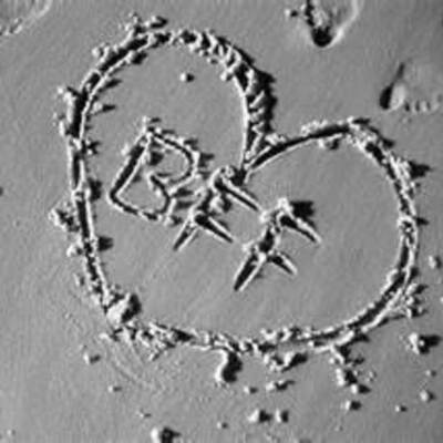 Timeline: Best Friend