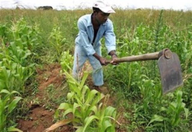 Restructure of Country's failing economy