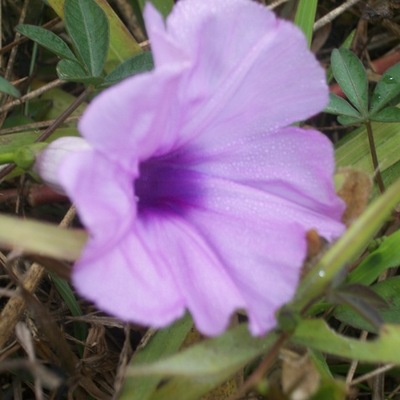 Timeline: Sabrina's timeline