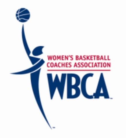 Decisional: Entrepreneur