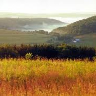 Timeline: Immigration and Westward Expansion Timeline Project