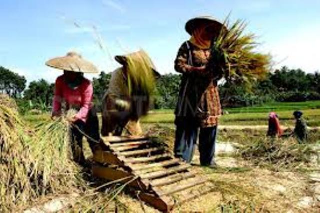 Finding a new job in the west