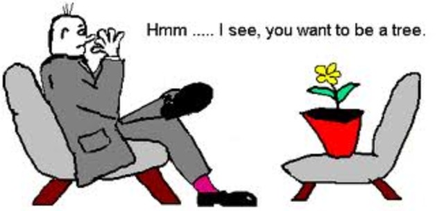 Degree in Psychology