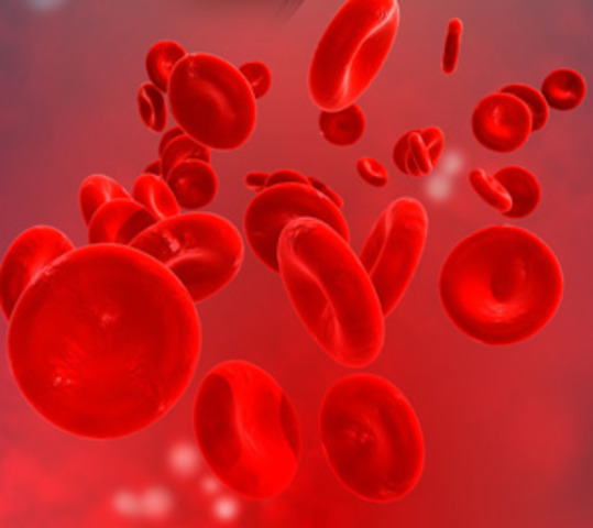 Blood Cells