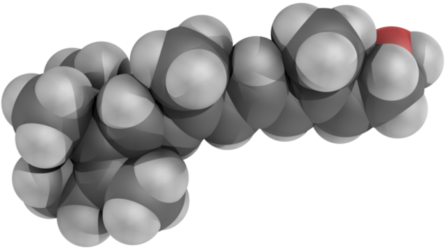 Frederick Hopkins suggests the existence of vitamins and suggests that a lack of vitamins causes scurvy and rickets